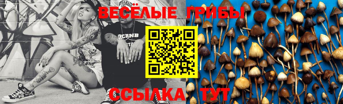 Псилоцибиновые грибы Psilocybe  купить наркотики сайты  Людиново  Вход с VPN 